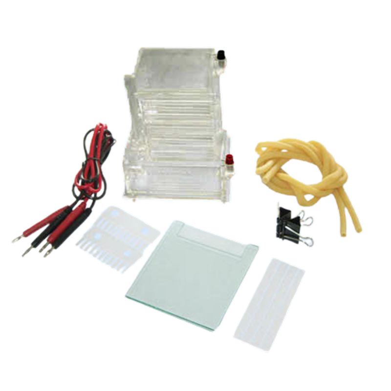 六一生物小型單垂直電泳儀DYCZ-23A