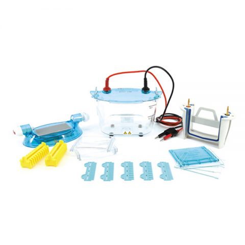 六一生物雙板垂直電泳儀基礎版DYCZ-24K