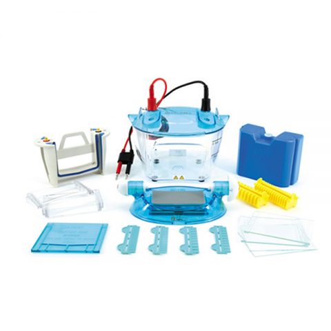 六一生物雙板垂直電泳儀標準版DYCZ-24KS