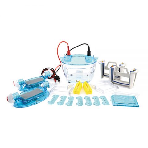 六一生物雙板垂直電泳儀DYCZ-MINI2