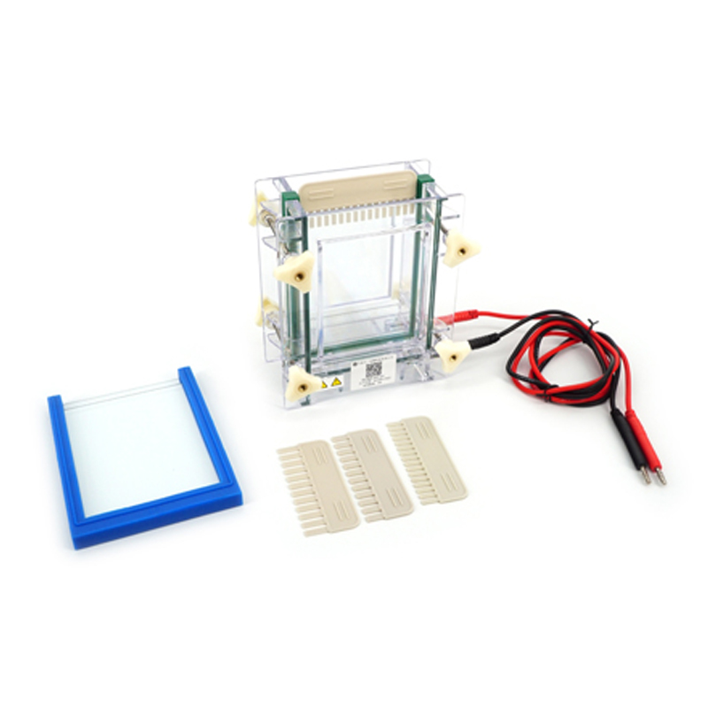 六一生物夾芯式垂直電泳儀（?。〥YCZ-28A