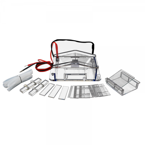 六一生物微瓊脂糖電泳儀DYCP-31A