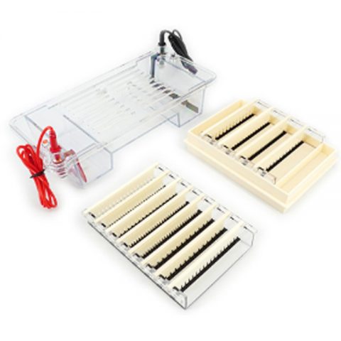 六一生物瓊脂糖水平電泳儀DYCP-32B