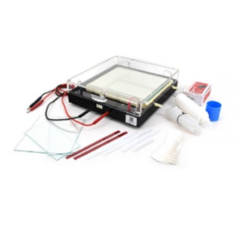 六一生物 DYCP-37B 等電聚焦多用途電泳儀