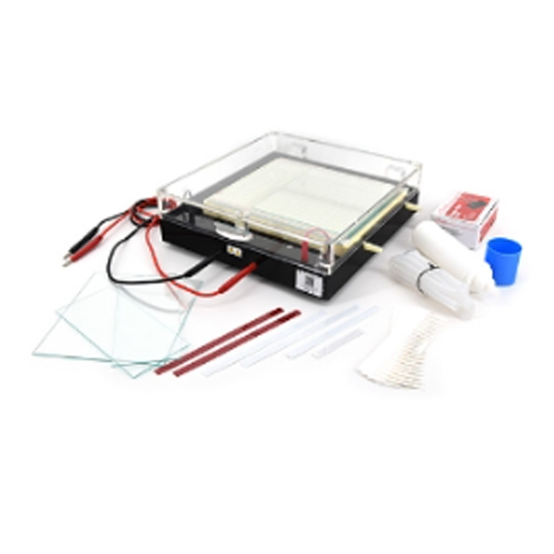 六一生物等電聚焦多用途電泳儀DYCP-37B