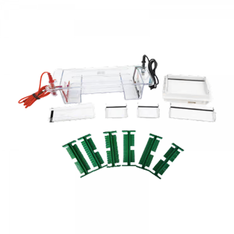 中科永儀多功能水平電泳槽EPT-HZ01