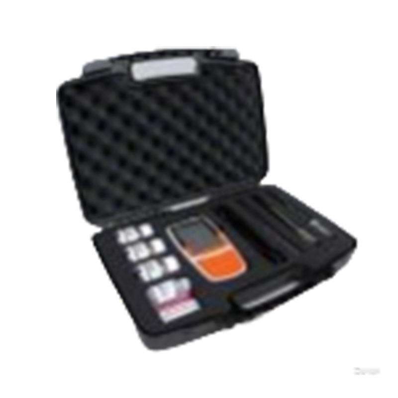 上海般特Bante903P-CN便攜式多參數水質(zhì)測量?jì)x