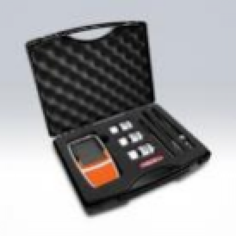 上海般特Bante902P-CN便攜式多參數水質(zhì)測量?jì)x